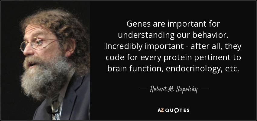 Genes are important for understanding our behavior. Incredibly important - after all, they code for every protein pertinent to brain function, endocrinology, etc. - Robert M. Sapolsky