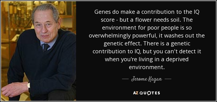 Genes do make a contribution to the IQ score - but a flower needs soil. The environment for poor people is so overwhelmingly powerful, it washes out the genetic effect. There is a genetic contribution to IQ, but you can't detect it when you're living in a deprived environment. - Jerome Kagan