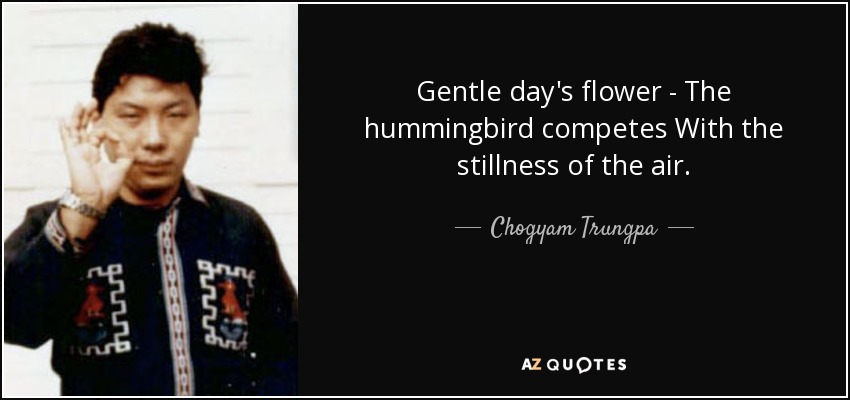 Gentle day's flower - The hummingbird competes With the stillness of the air. - Chogyam Trungpa