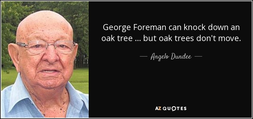 George Foreman can knock down an oak tree ... but oak trees don't move. - Angelo Dundee
