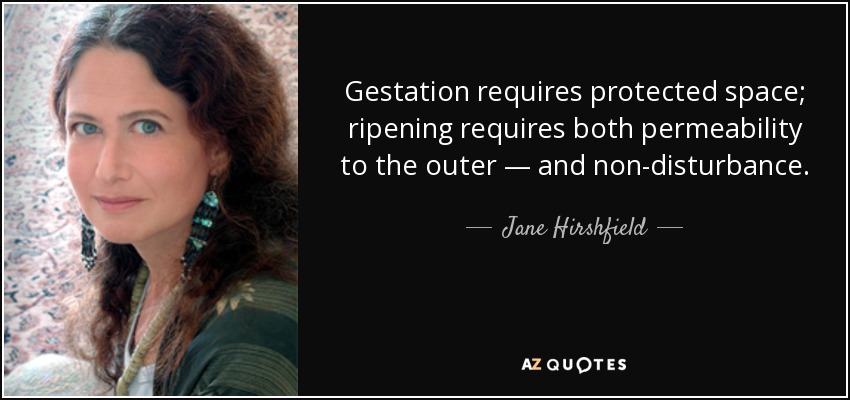 Gestation requires protected space; ripening requires both permeability to the outer — and non-disturbance. - Jane Hirshfield