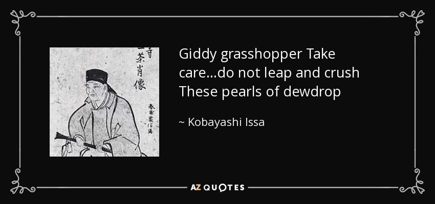 Giddy grasshopper Take care...do not leap and crush These pearls of dewdrop - Kobayashi Issa