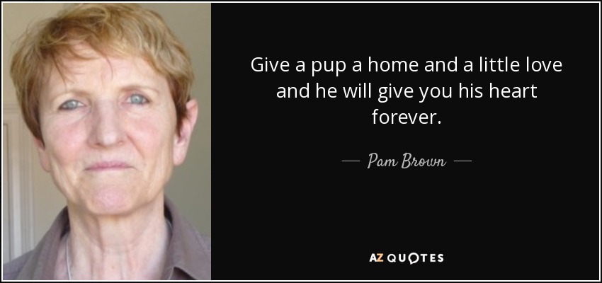 Give a pup a home and a little love and he will give you his heart forever. - Pam Brown