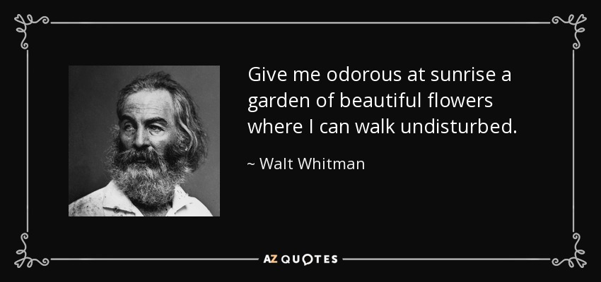 Give me odorous at sunrise a garden of beautiful flowers where I can walk undisturbed. - Walt Whitman