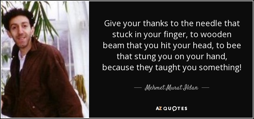 Give your thanks to the needle that stuck in your finger, to wooden beam that you hit your head, to bee that stung you on your hand, because they taught you something! - Mehmet Murat Ildan