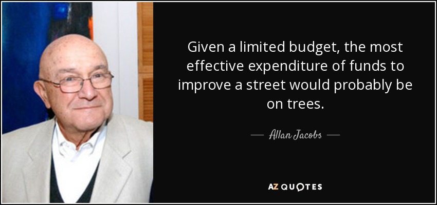 Given a limited budget, the most effective expenditure of funds to improve a street would probably be on trees. - Allan Jacobs