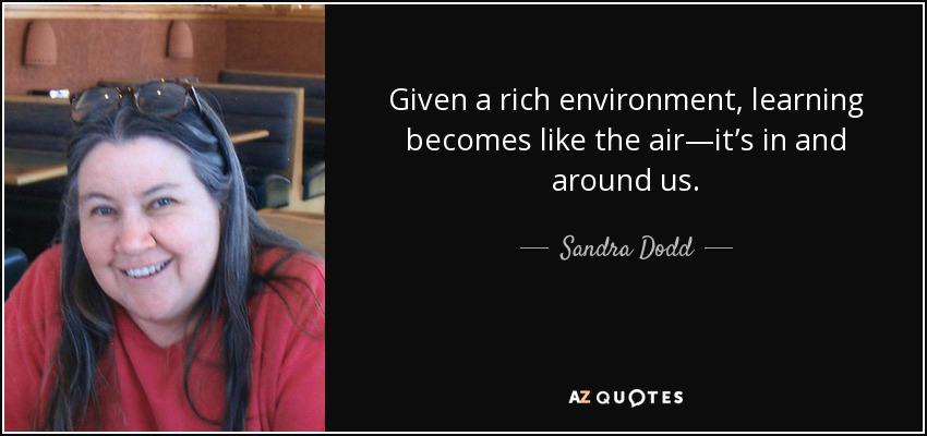 Given a rich environment, learning becomes like the air—it’s in and around us. - Sandra Dodd