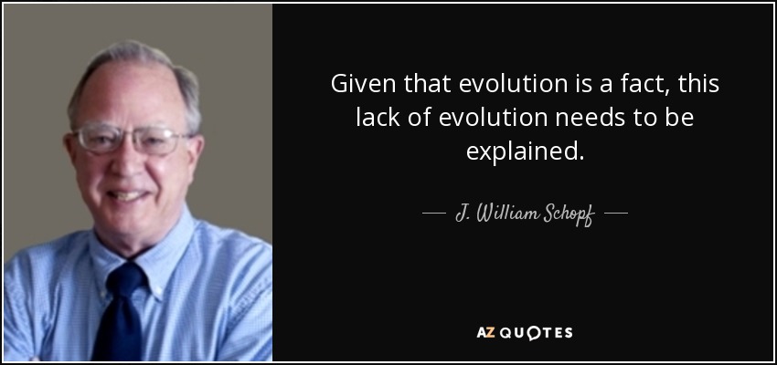 Given that evolution is a fact, this lack of evolution needs to be explained. - J. William Schopf