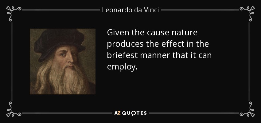 Given the cause nature produces the effect in the briefest manner that it can employ. - Leonardo da Vinci