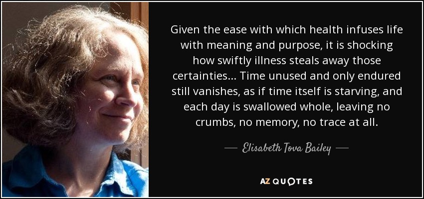 Given the ease with which health infuses life with meaning and purpose, it is shocking how swiftly illness steals away those certainties... Time unused and only endured still vanishes, as if time itself is starving, and each day is swallowed whole, leaving no crumbs, no memory, no trace at all. - Elisabeth Tova Bailey