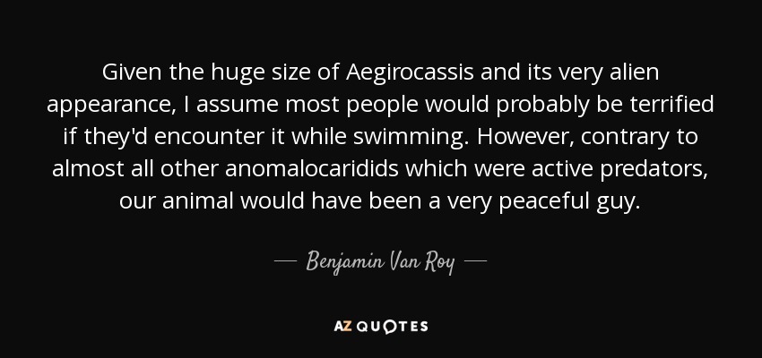 Given the huge size of Aegirocassis and its very alien appearance, I assume most people would probably be terrified if they'd encounter it while swimming. However, contrary to almost all other anomalocaridids which were active predators, our animal would have been a very peaceful guy. - Benjamin Van Roy