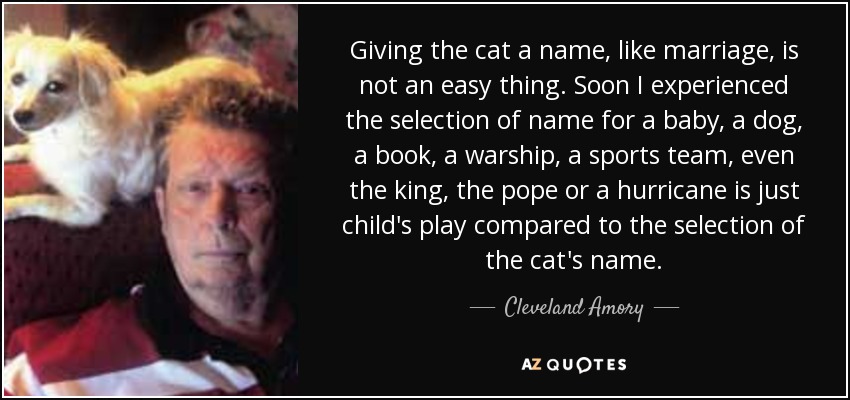 Giving the cat a name, like marriage, is not an easy thing. Soon I experienced the selection of name for a baby, a dog, a book, a warship, a sports team, even the king, the pope or a hurricane is just child's play compared to the selection of the cat's name. - Cleveland Amory