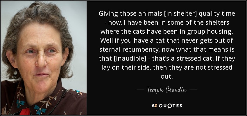 Giving those animals [in shelter] quality time - now, I have been in some of the shelters where the cats have been in group housing. Well if you have a cat that never gets out of sternal recumbency, now what that means is that [inaudible] - that's a stressed cat. If they lay on their side, then they are not stressed out. - Temple Grandin