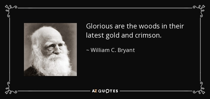 Glorious are the woods in their latest gold and crimson. - William C. Bryant