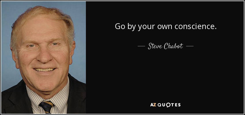 Go by your own conscience. - Steve Chabot