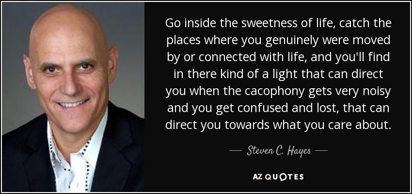 Go inside the sweetness of life, catch the places where you genuinely were moved by or connected with life, and you'll find in there kind of a light that can direct you when the cacophony gets very noisy and you get confused and lost, that can direct you towards what you care about. - Steven C. Hayes