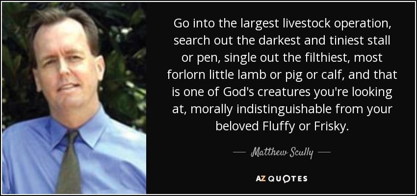 Go into the largest livestock operation, search out the darkest and tiniest stall or pen, single out the filthiest, most forlorn little lamb or pig or calf, and that is one of God's creatures you're looking at, morally indistinguishable from your beloved Fluffy or Frisky. - Matthew Scully