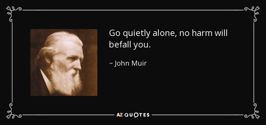 Go quietly alone, no harm will befall you. - John Muir