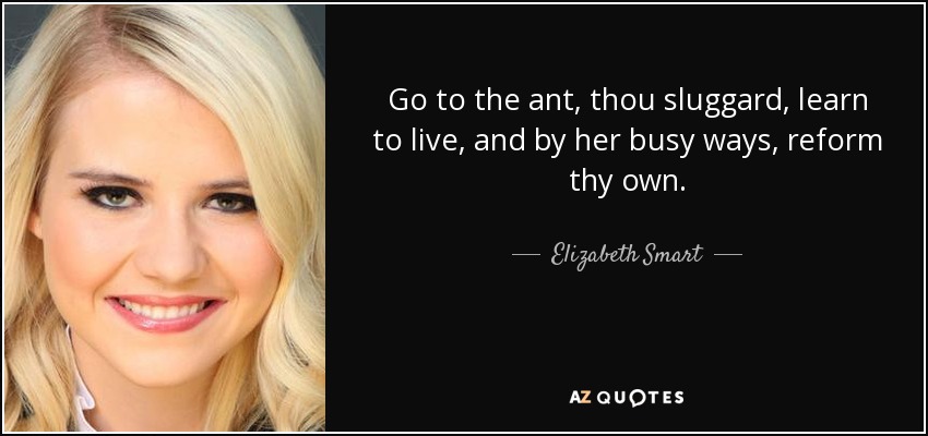 Go to the ant, thou sluggard, learn to live, and by her busy ways, reform thy own. - Elizabeth Smart