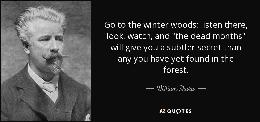 Go to the winter woods: listen there, look, watch, and 