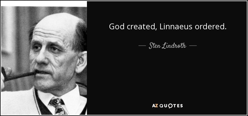 God created, Linnaeus ordered. - Sten Lindroth