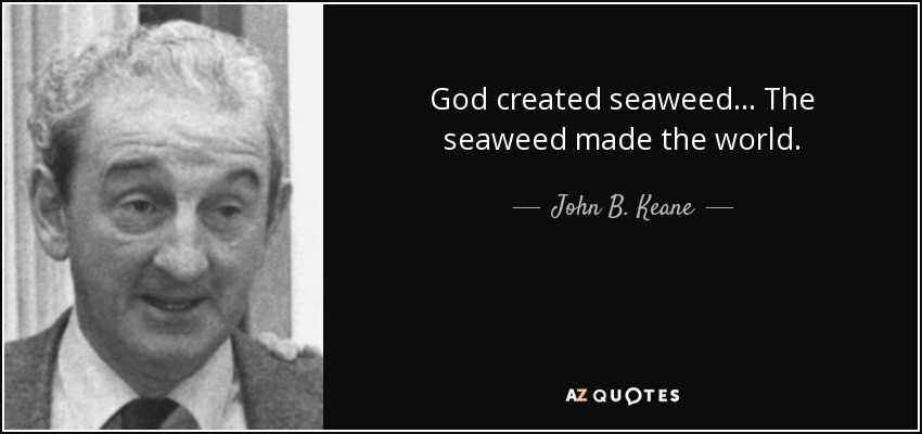 God created seaweed… The seaweed made the world. - John B. Keane