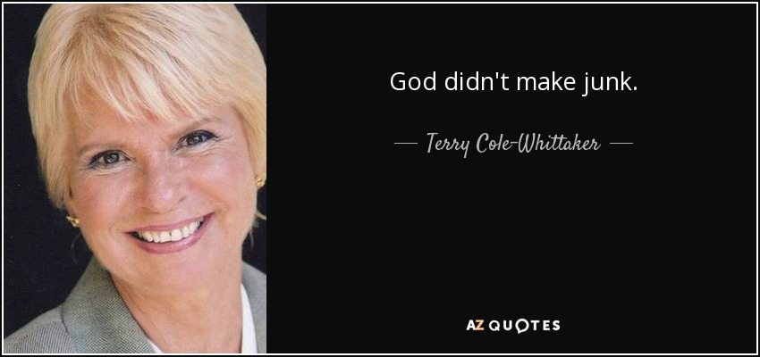 God didn't make junk. - Terry Cole-Whittaker
