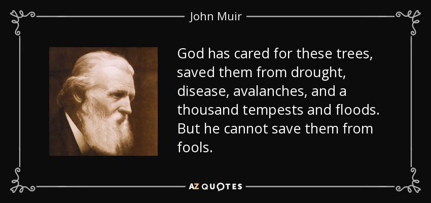 God has cared for these trees, saved them from drought, disease, avalanches, and a thousand tempests and floods. But he cannot save them from fools. - John Muir