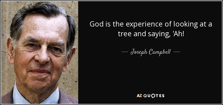 God is the experience of looking at a tree and saying, 'Ah! - Joseph Campbell