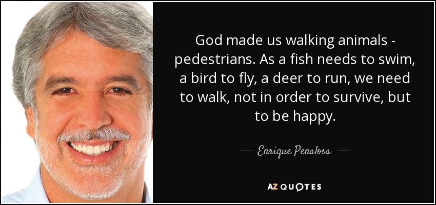God made us walking animals - pedestrians. As a fish needs to swim, a bird to fly, a deer to run, we need to walk, not in order to survive, but to be happy. - Enrique Penalosa