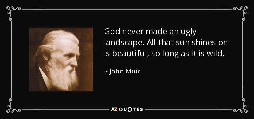God never made an ugly landscape. All that sun shines on is beautiful, so long as it is wild. - John Muir