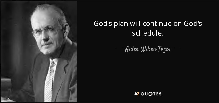 God's plan will continue on God's schedule. - Aiden Wilson Tozer