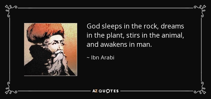 God sleeps in the rock, dreams in the plant, stirs in the animal, and awakens in man. - Ibn Arabi