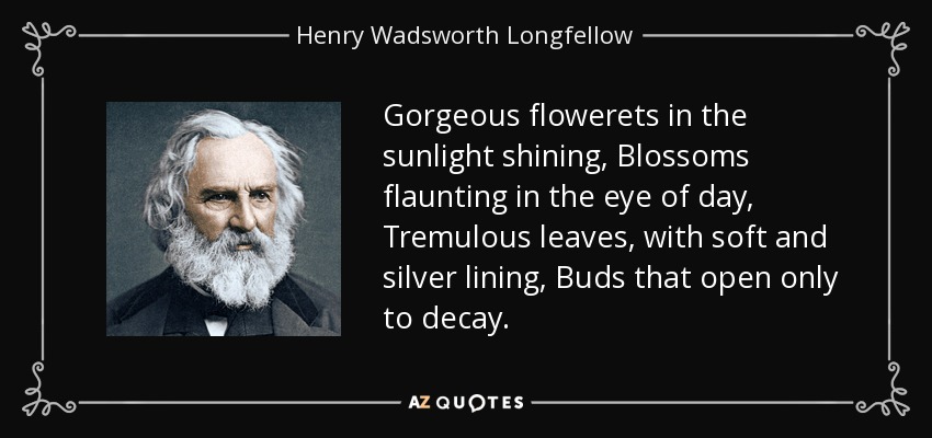 Gorgeous flowerets in the sunlight shining, Blossoms flaunting in the eye of day, Tremulous leaves, with soft and silver lining, Buds that open only to decay. - Henry Wadsworth Longfellow