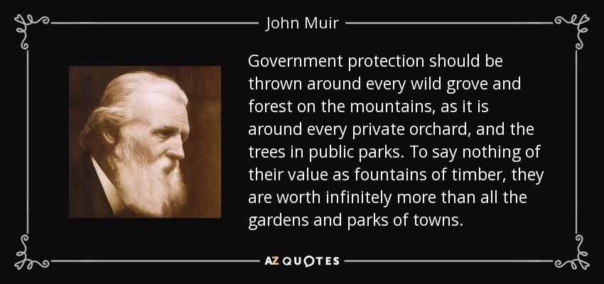 Government protection should be thrown around every wild grove and forest on the mountains, as it is around every private orchard, and the trees in public parks. To say nothing of their value as fountains of timber, they are worth infinitely more than all the gardens and parks of towns. - John Muir