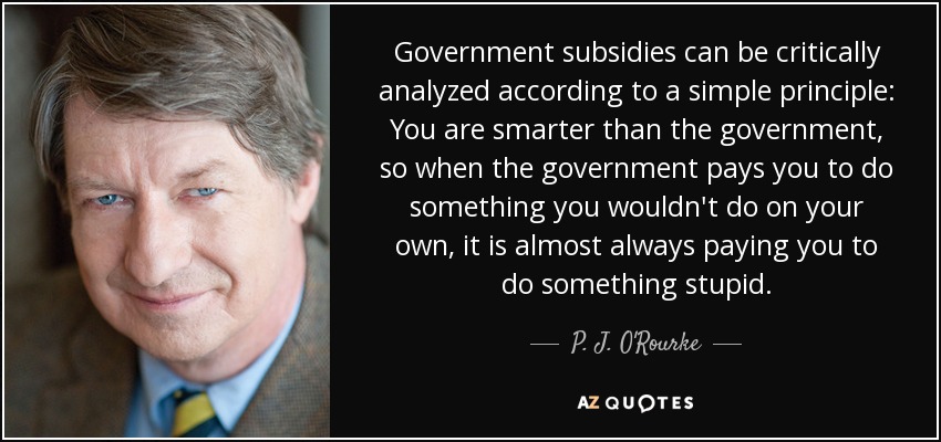 Government subsidies can be critically analyzed according to a simple principle: You are smarter than the government, so when the government pays you to do something you wouldn't do on your own, it is almost always paying you to do something stupid. - P. J. O'Rourke
