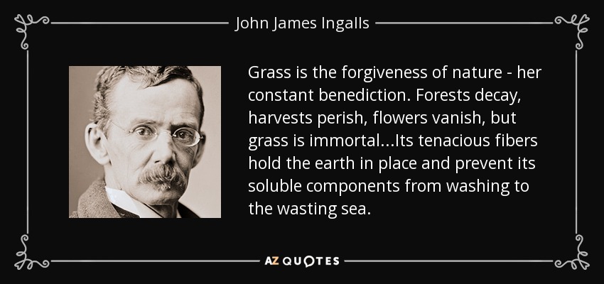 Grass is the forgiveness of nature - her constant benediction. Forests decay, harvests perish, flowers vanish, but grass is immortal...Its tenacious fibers hold the earth in place and prevent its soluble components from washing to the wasting sea. - John James Ingalls