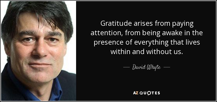 Gratitude arises from paying attention, from being awake in the presence of everything that lives within and without us. - David Whyte