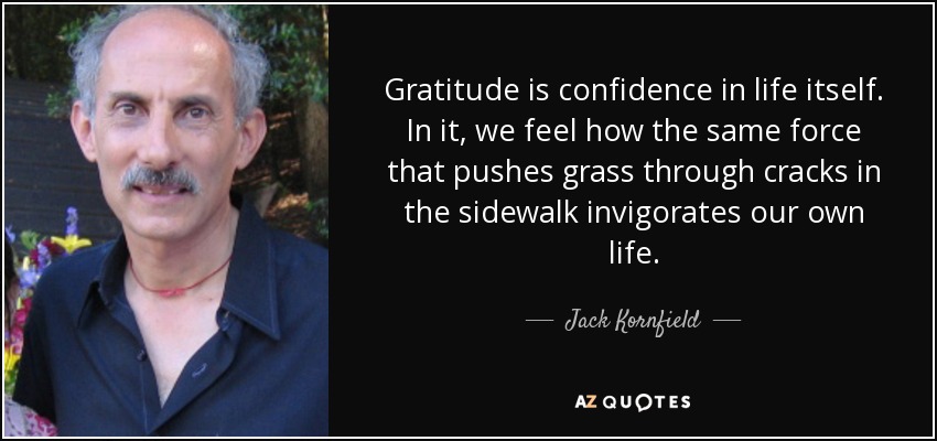 Gratitude is confidence in life itself. In it, we feel how the same force that pushes grass through cracks in the sidewalk invigorates our own life. - Jack Kornfield