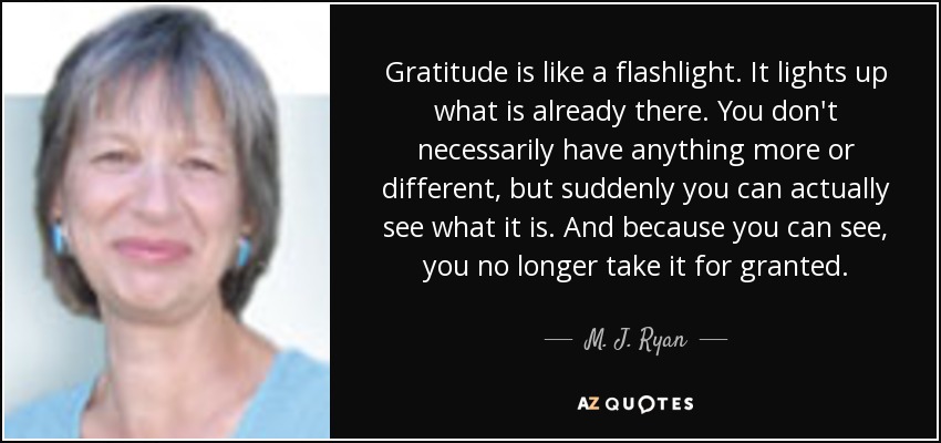 Gratitude is like a flashlight. It lights up what is already there. You don't necessarily have anything more or different, but suddenly you can actually see what it is. And because you can see, you no longer take it for granted. - M. J. Ryan