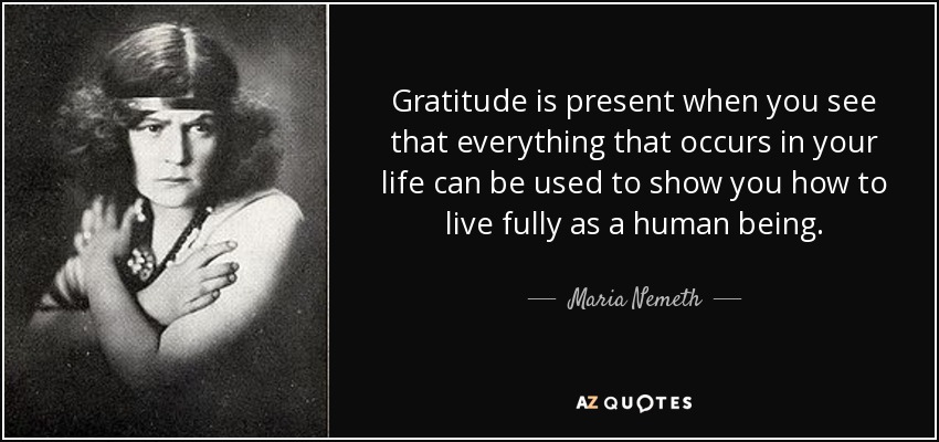 Gratitude is present when you see that everything that occurs in your life can be used to show you how to live fully as a human being. - Maria Nemeth