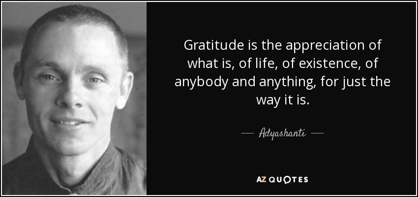 Gratitude is the appreciation of what is, of life, of existence, of anybody and anything, for just the way it is. - Adyashanti
