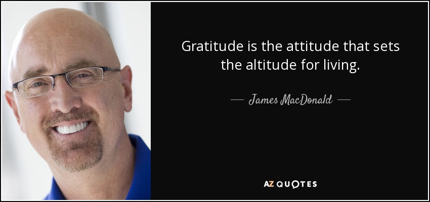 Gratitude is the attitude that sets the altitude for living. - James MacDonald