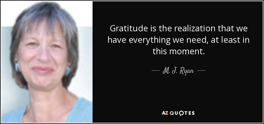 Gratitude is the realization that we have everything we need, at least in this moment. - M. J. Ryan