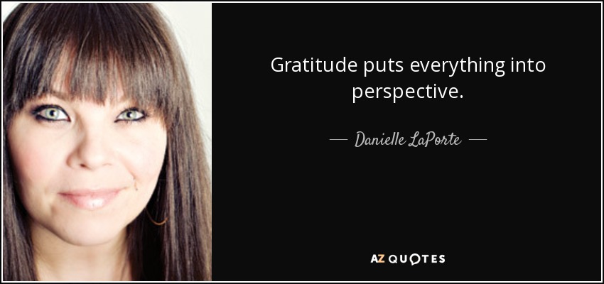 Gratitude puts everything into perspective. - Danielle LaPorte