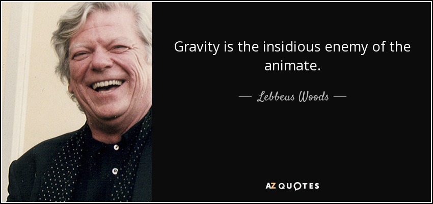 Gravity is the insidious enemy of the animate. - Lebbeus Woods