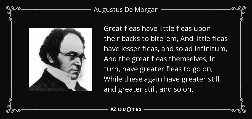 Great fleas have little fleas upon their backs to bite 'em, And little fleas have lesser fleas, and so ad infinitum, And the great fleas themselves, in turn, have greater fleas to go on, While these again have greater still, and greater still, and so on. - Augustus De Morgan