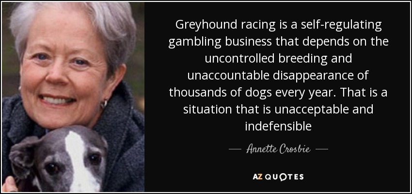 Greyhound racing is a self-regulating gambling business that depends on the uncontrolled breeding and unaccountable disappearance of thousands of dogs every year. That is a situation that is unacceptable and indefensible - Annette Crosbie