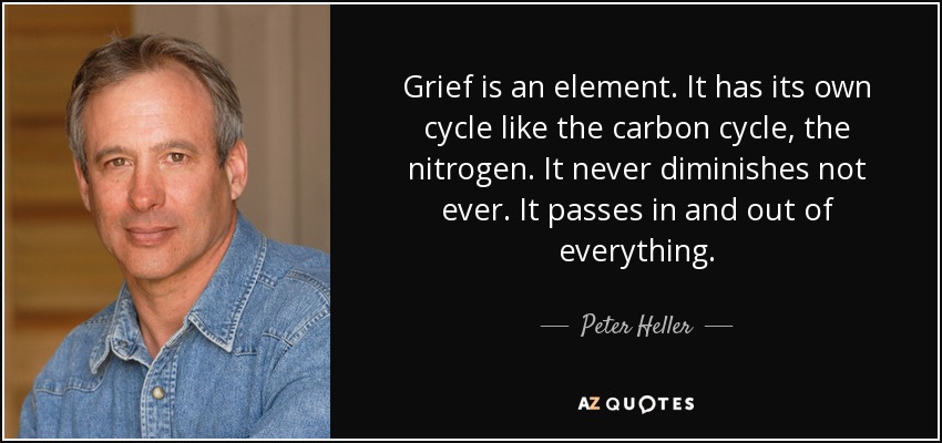 Grief is an element. It has its own cycle like the carbon cycle, the nitrogen. It never diminishes not ever. It passes in and out of everything. - Peter Heller