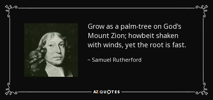Grow as a palm-tree on God's Mount Zion; howbeit shaken with winds, yet the root is fast. - Samuel Rutherford